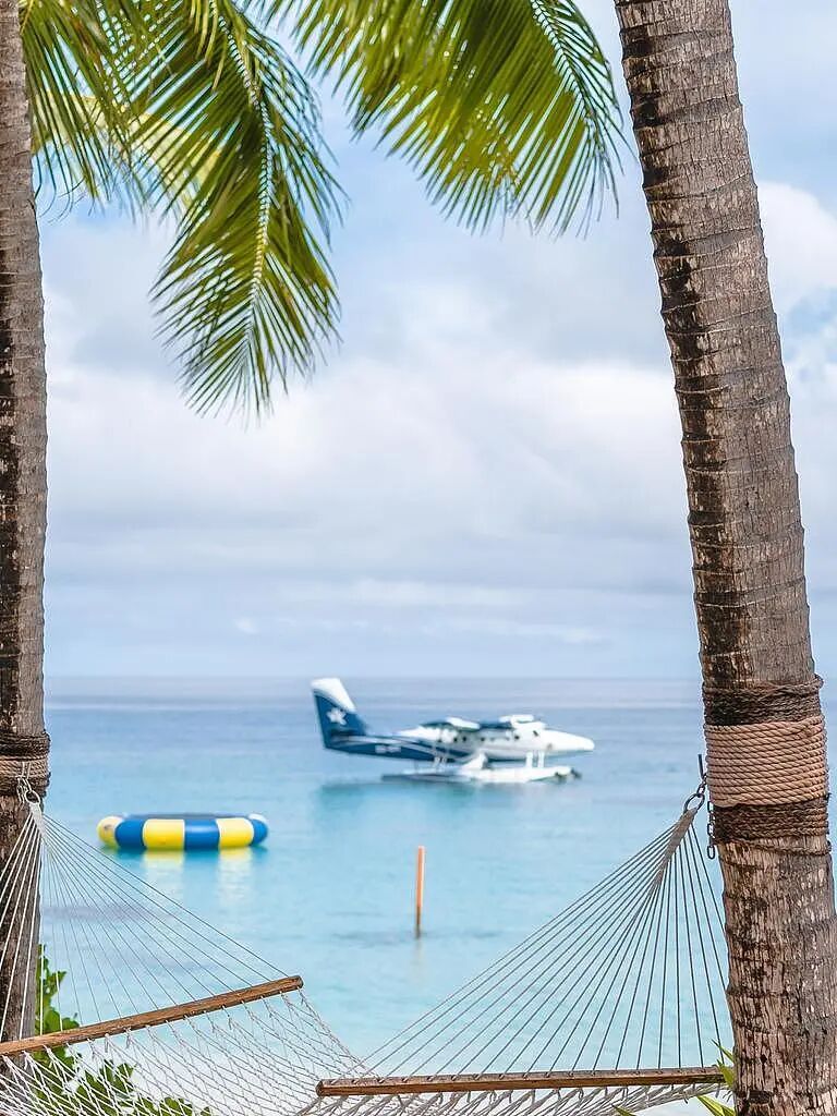 入境门槛太高!澳洲游客纷纷“拉黑”美国,转战欧洲与斐济(组图) - 2