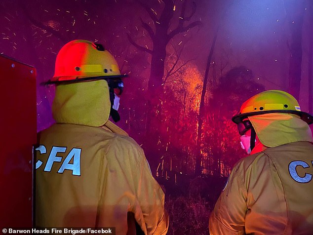 Temperatures in Victoria are soaring above 40C