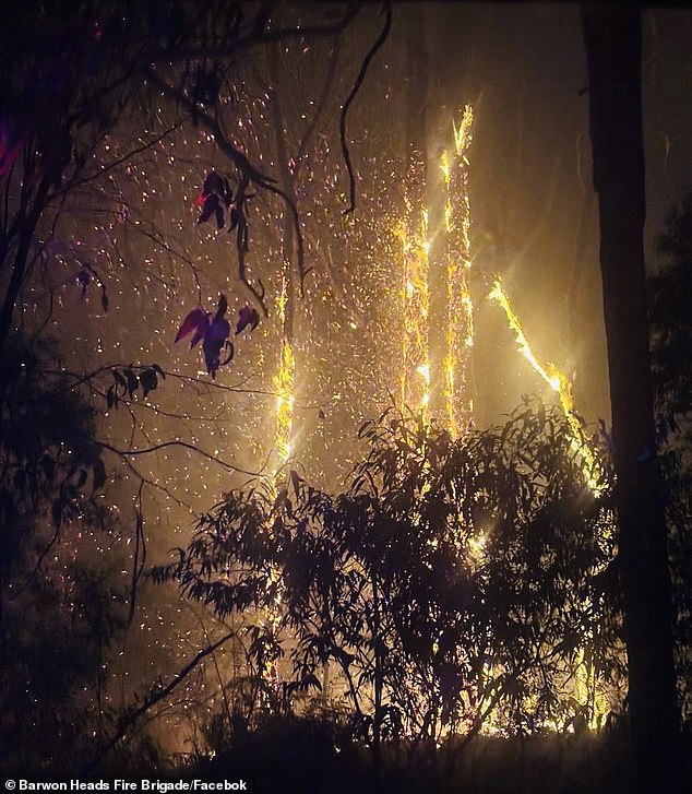The bushfire at Carlisle River has breached containment