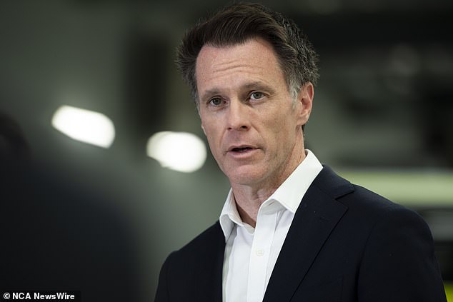 Chris Minns (pictured) said the government was considering an extra public holiday in NSW