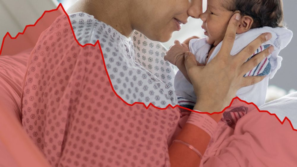 697ae17aa40b0.png 企业微信截图_17696606553037.png