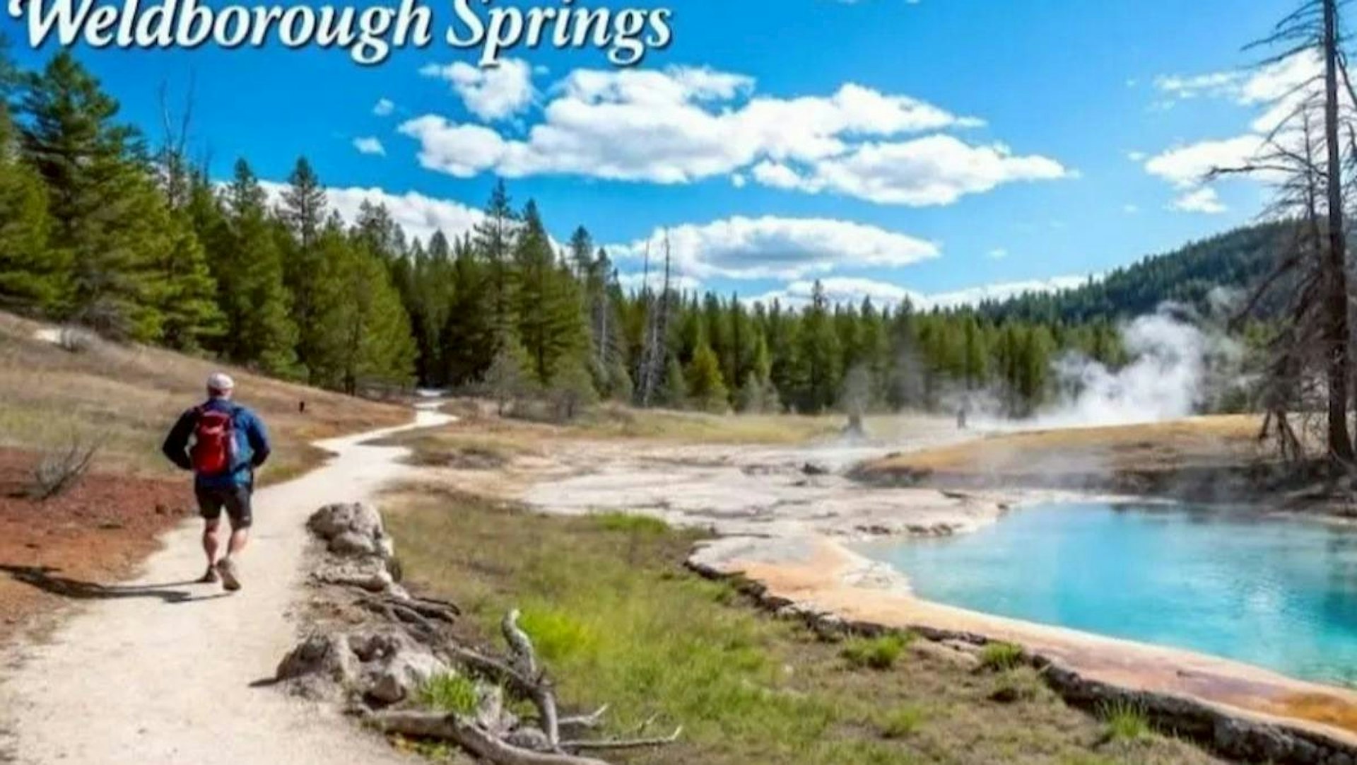 塔斯曼尼亚旅游网站一篇现已删除的部落格文章曾推荐「韦德伯勒温泉」，称其位于东北部森林中，能提供「静谧的世外桃源，还被吹捧为健行客的「最爱」。（Tasmania Tours）