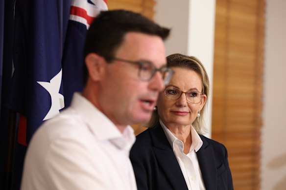 国家党领袖大卫·利特普劳德和反对党领袖苏珊·莱在堪培拉国会大厦举行联合新闻发布会。