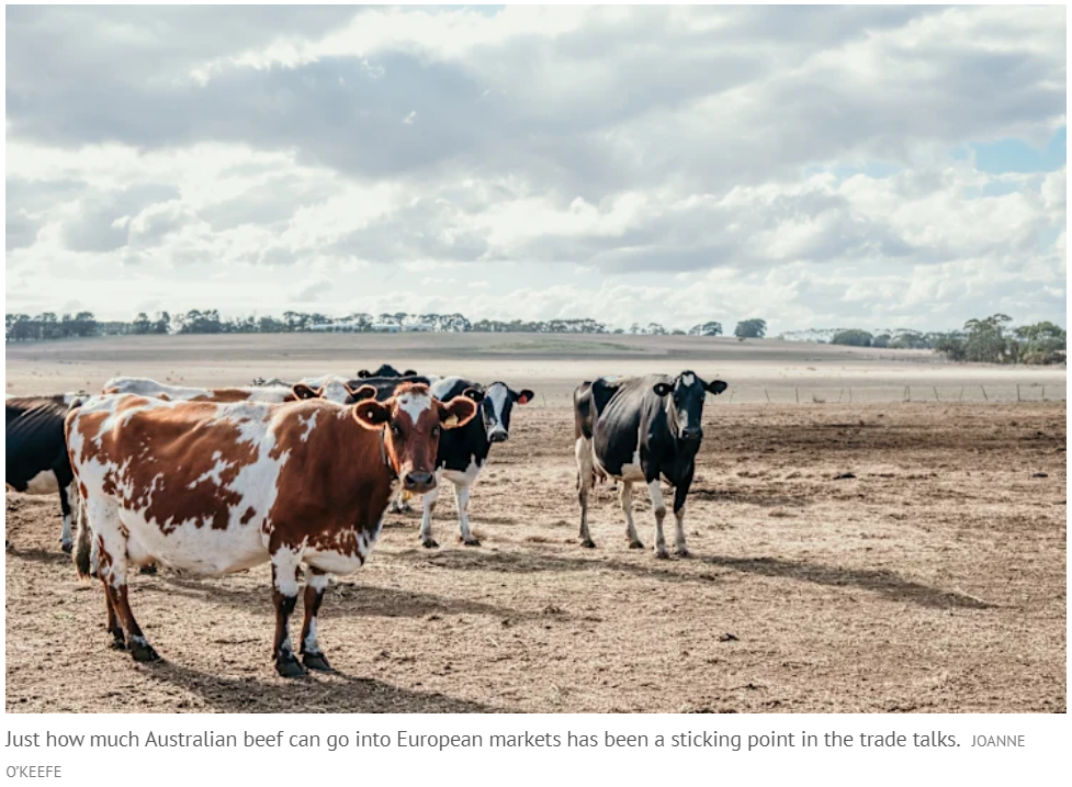 698fedbe0b8ce.png 企业微信截图_17710393727940.png