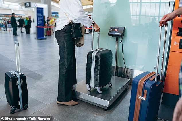 698ff36f8b2aa.png 企业微信截图_17710414486657.png