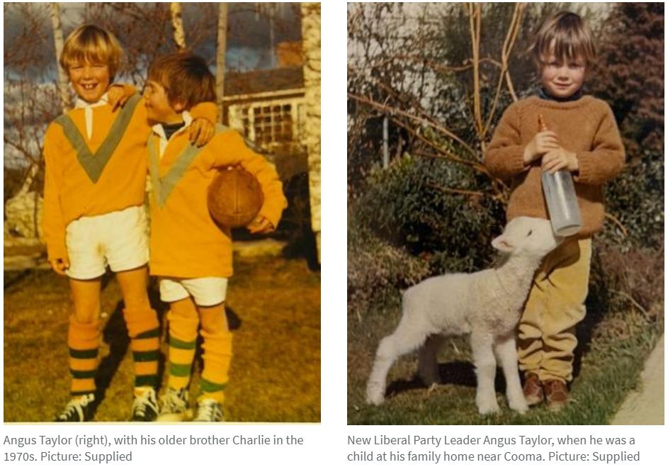 6991158aed422.png 企业微信截图_17711148276193.png