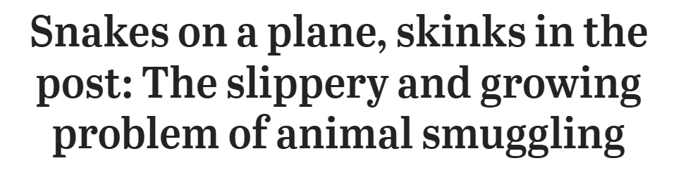 69911c4aec403.png 企业微信截图_1771116227994.png