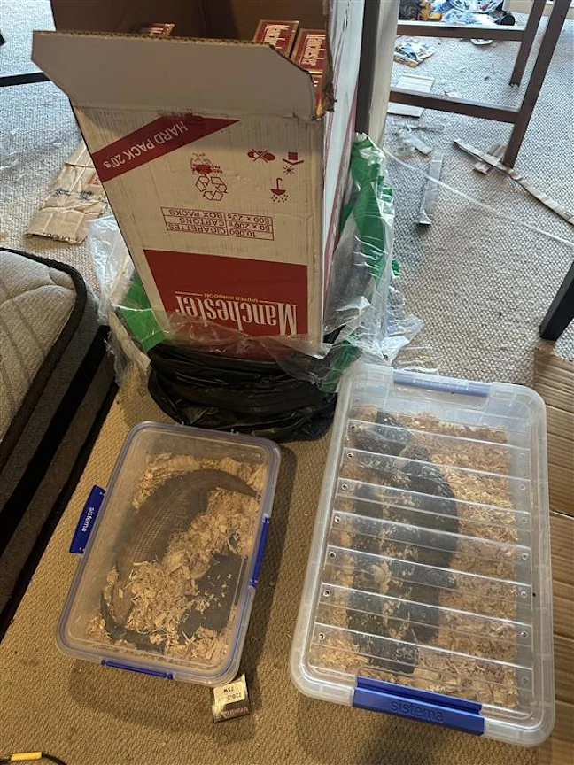 69911c5a26054.png 企业微信截图_17711162765092.png