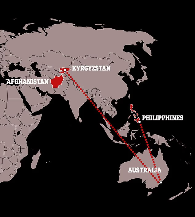 69a0d48e9abad.png 企业微信截图_17721473599134.png