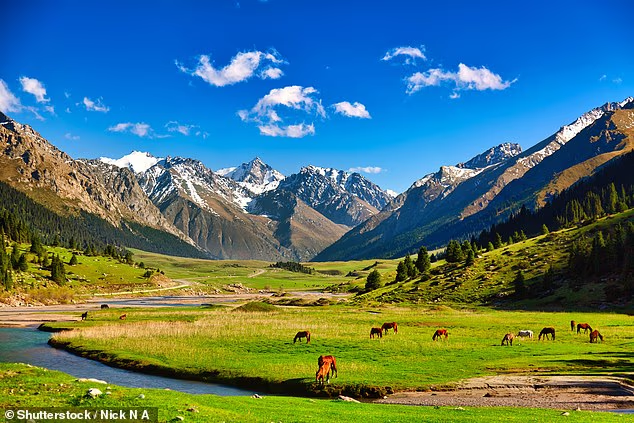 69a0d498ca3da.png 企业微信截图_17721473773489.png