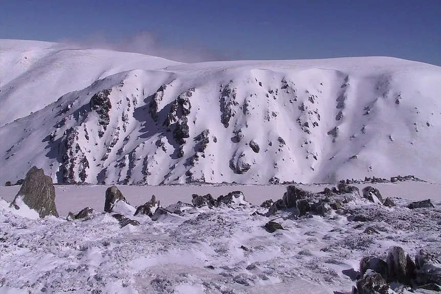 两名中国女留学生在澳登山不幸遇难！警方：带够防寒衣物却没穿，均死于失温（组图） - 2