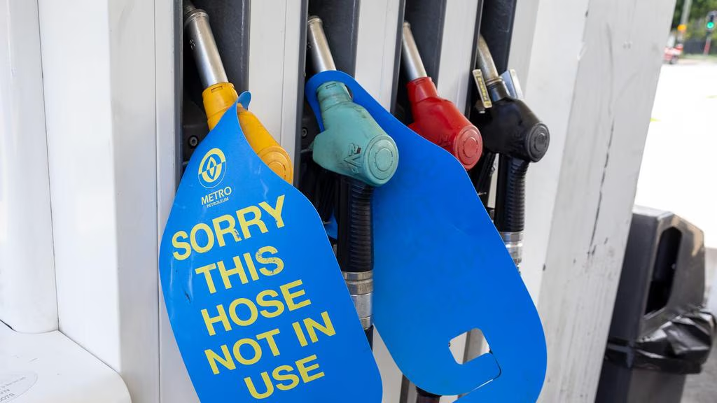 69c49847cba50.png d6f07e59bf433336aea133c799021c1.png