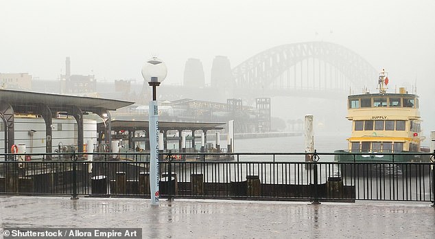 The F1 Manly Ferry Service has been cancelled for Friday night due to extreme weather conditions