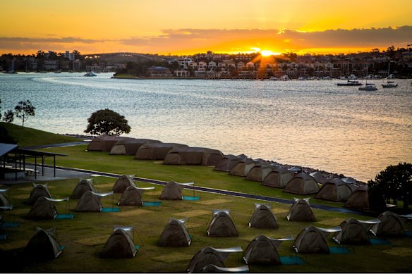 Go camping without leaving the city.