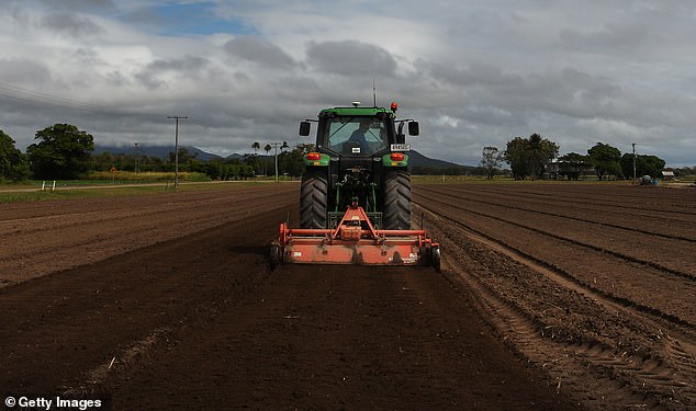 中国禁止向澳大利亚出口重要化肥后，澳大利亚农业界代表已被派往中国（图为昆士兰州鲍恩镇一处农场正在进行土壤准备工作）。