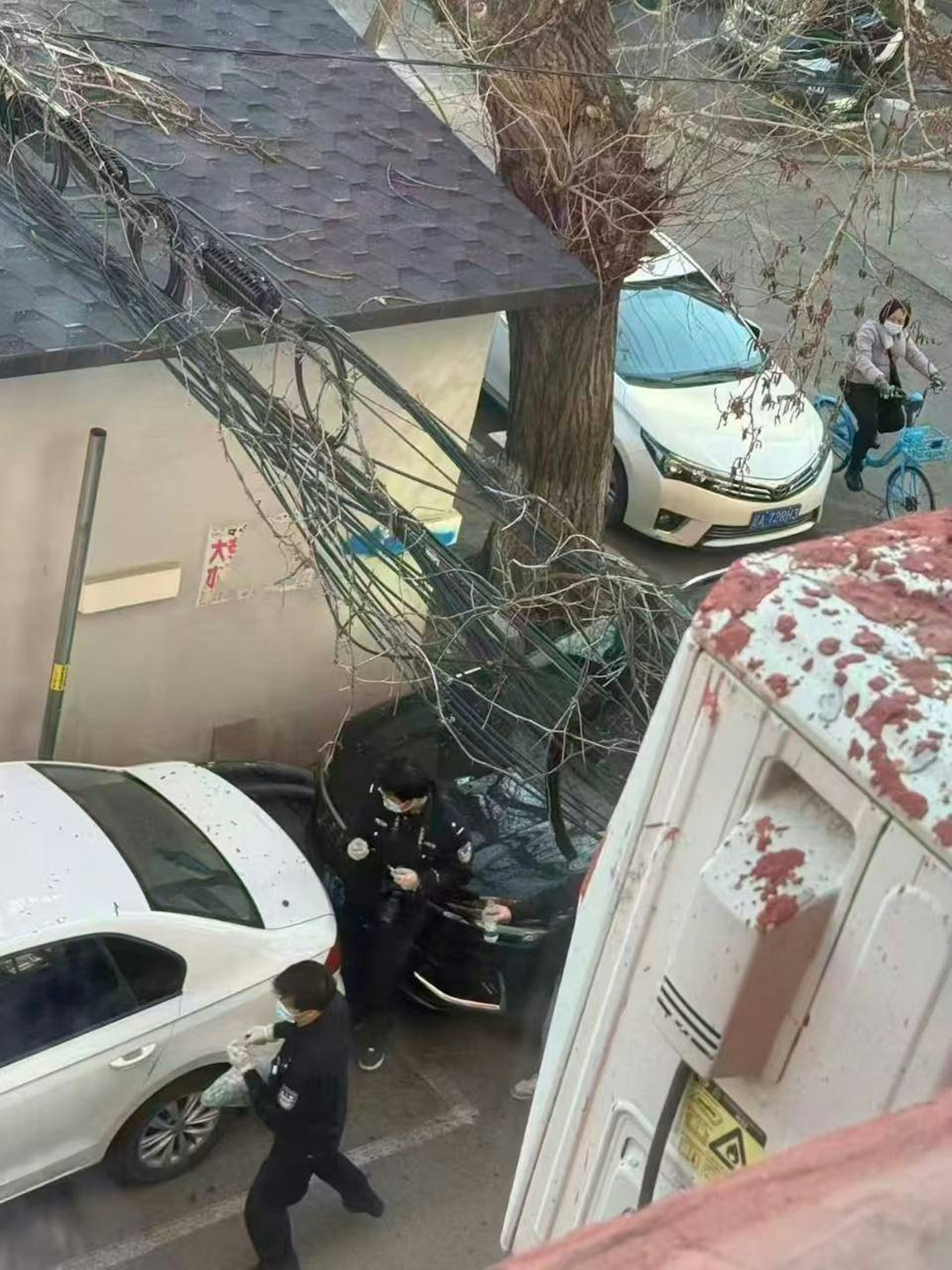 事发地主要集中在沈阳市和平区的南京街第三小学及太原街附近的菜市场一带。（X平台）