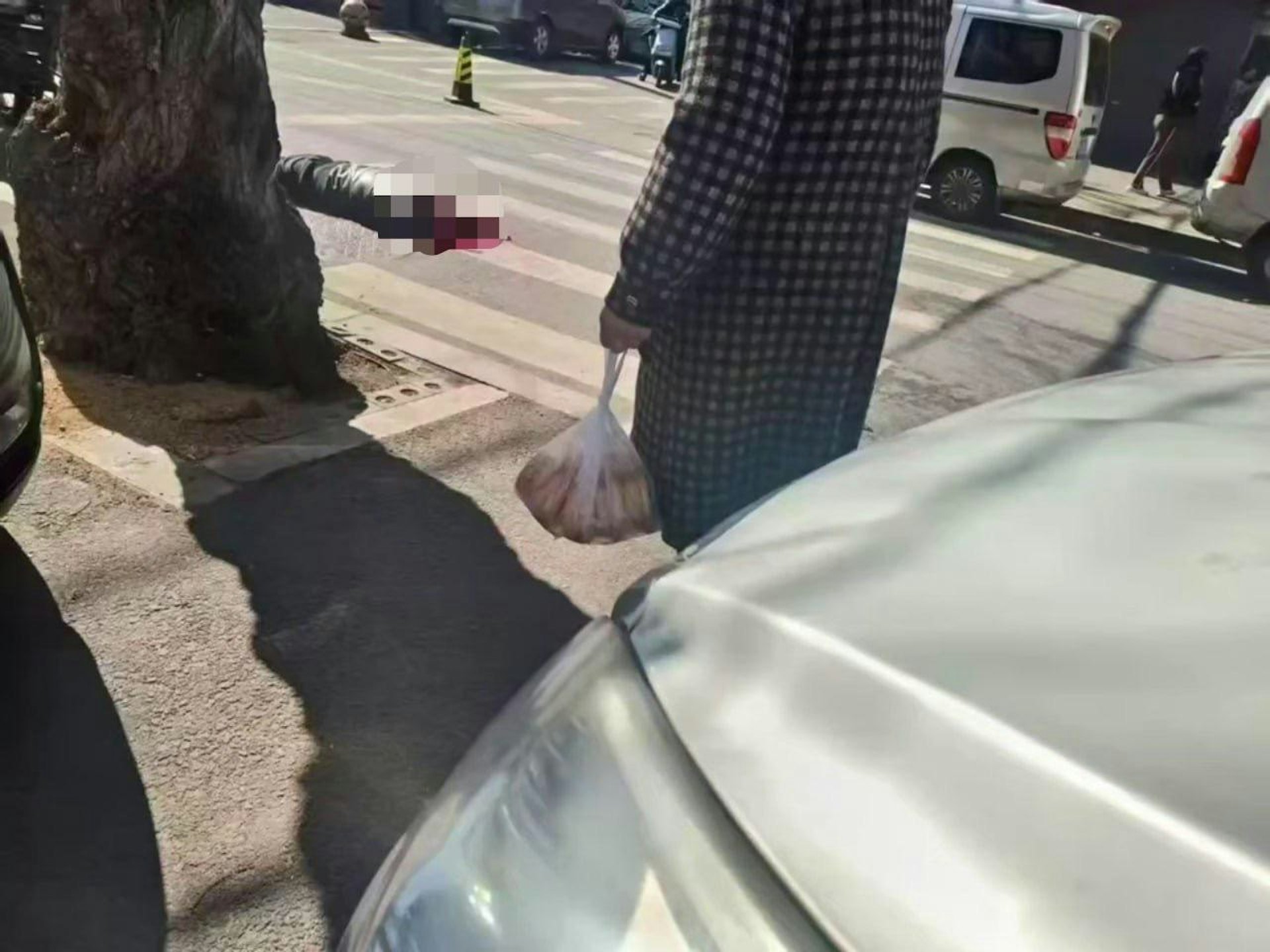 其中一张照片显示，一名受害者倒卧在斑马线上，疑似头颅被斩下。（X平台）