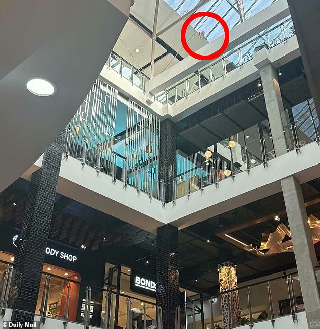 周一，紧急救援部门接到报警称一名男子爬上了百老汇购物中心的屋顶，随即赶往现场。