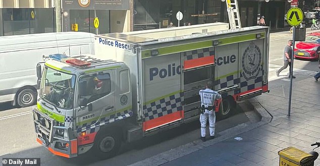 新南威尔士州警察救援队已赶到现场