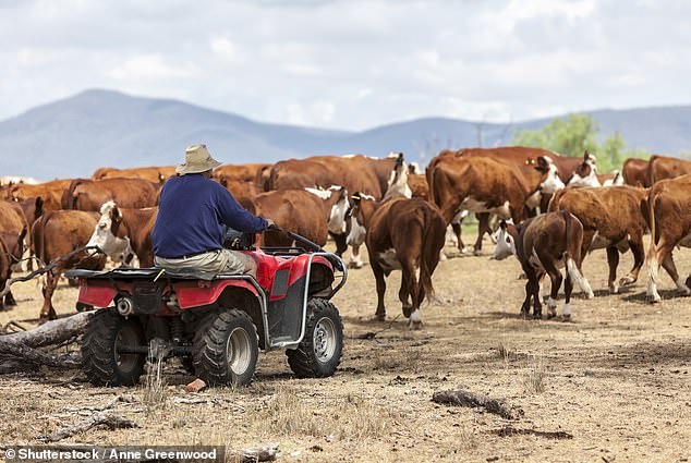 化肥和燃料价格飙升被认为是推高价格（股票）的主要原因。