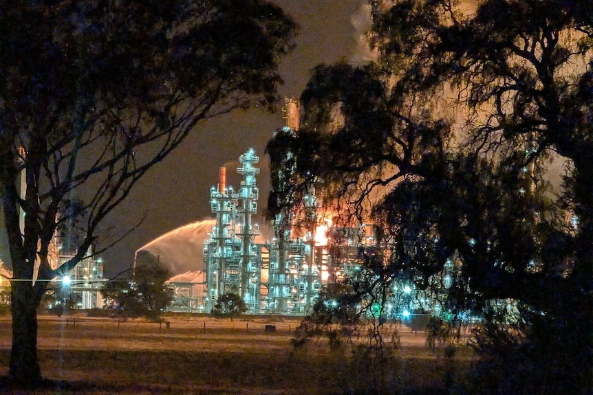 Smoke rises between trees as the Viva refinery at Corio is seen burning.