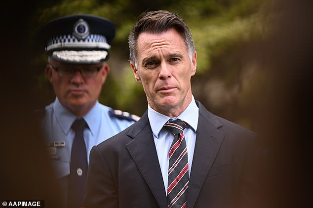 NSW Premier Chris Minns (pictured) said the government was 'disappointed' by the ruling