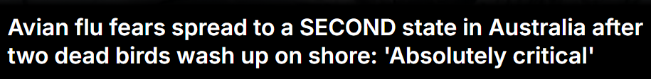 0f02ad2be13e4d4fb0eff27af15be1a.png