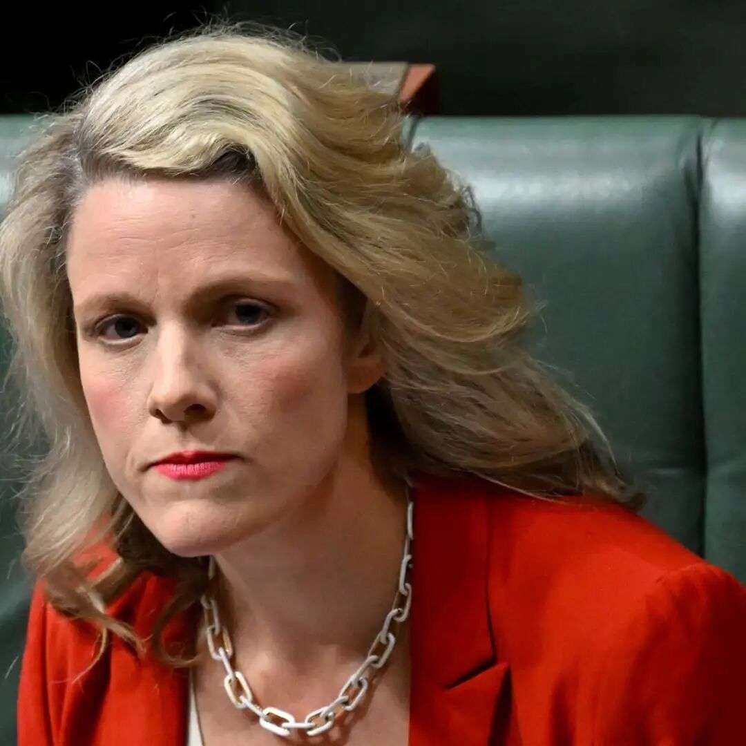 Clare O'Neil claims she relied on verbal briefings only for prediction of  high court immigration detention win | Australian immigration and asylum |  The Guardian