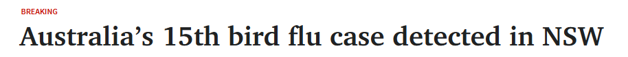 fba5c817a7e3b16a47614deae8ce083.png