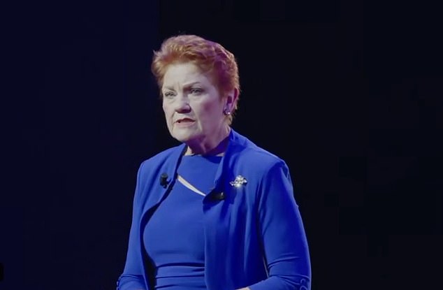一国党领袖宝琳·汉森抨击澳大利亚当局给予跨性别者更多权利和认可的做法“愚蠢”,并告诉人群他们“不应该为自己是白人而道歉”。