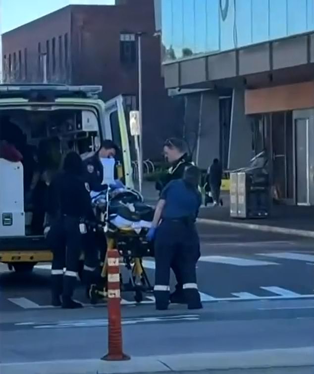 The Good Samaritan was left with 'unsurvivable' injuries, a magistrate said