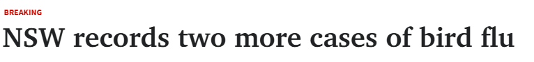 469f6a6f8dff93939d0d91b80b053c0.png