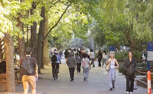 中国学生减少22%！国际学生限额持续收紧，IDP Education利润连跌2年（图） - 1