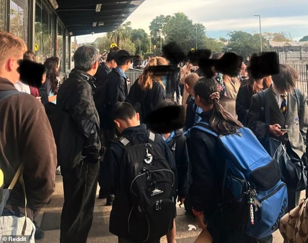 Frustrated commuters described the scenes at Gordon station as 'absolute chaos'